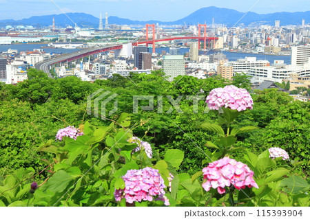 [福岡縣] 繡球花節期間的若門大橋和北九州市 115393904