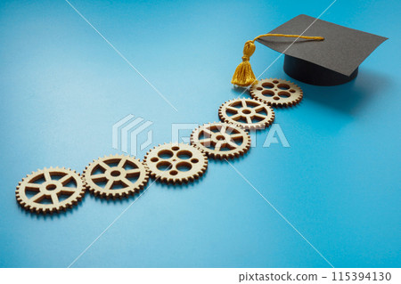 Gears and graduation cap. Education and upskilling concept. Gears and graduation cap. Education and upskilling concept. 115394130