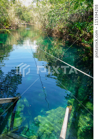 beautiful natural pool with crystal clear waters in Cenote Escondido in Tulum, Mexico beautiful natural pool with crystal clear waters in Cenote Escondido in Tulum, Mexico 115394208
