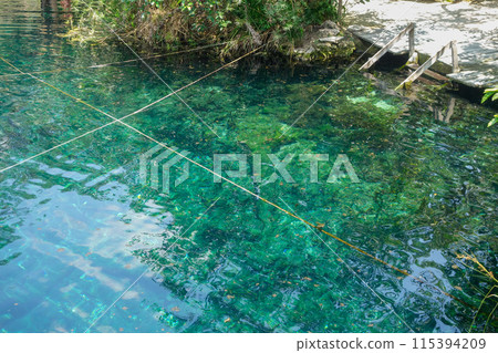 beautiful natural pool with crystal clear waters in Cenote Cristal in Tulum, Mexico 115394209