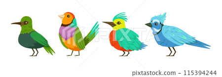 Bright Tropical Bird with Colorful Feathers Vector Set 115394244