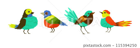Bright Tropical Bird with Colorful Feathers Vector Set Bright Tropical Bird with Colorful Feathers Vector Set 115394250