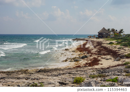 Turquoise blue waters of the Caribbean Sea on the island of Cozumel, Mexico Turquoise blue waters of the Caribbean Sea on the island of Cozumel, Mexico 115394463