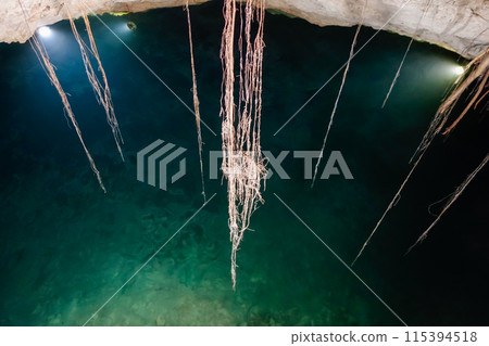 amazing natural pool of clear waters of Cenote Santa Barbara, in Homun, Mexico amazing natural pool of clear waters of Cenote Santa Barbara, in Homun, Mexico 115394518