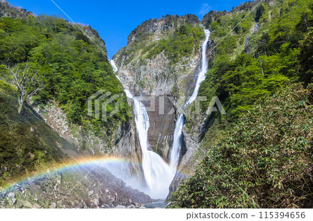 [富山縣_稱名瀑布_榿木瀑布] 在新綠之中，壯觀的瀑布形成V字形，形成彩虹橋。 115394656