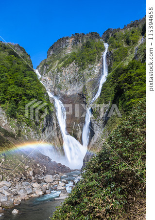 [富山縣_稱名瀑布_榿木瀑布] 在新綠之中，壯觀的瀑布形成V字形，形成彩虹橋。 115394658