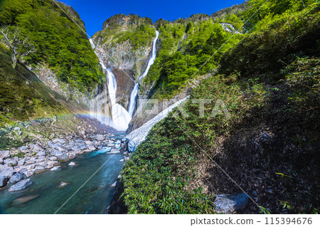 [Toyama Prefecture_Shomyo Falls_Hannoki Falls] Amidst the fresh greenery, a magnificent sight emerges as the famous waterfall forms a V-shape and creates a rainbow bridge. 115394676