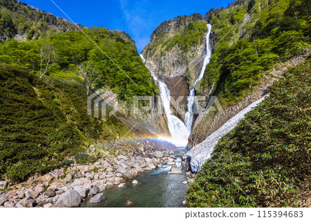 [Toyama Prefecture_Shomyo Falls_Hannoki Falls] Amidst the fresh greenery, a magnificent sight emerges as the famous waterfall forms a V-shape and creates a rainbow bridge. 115394683