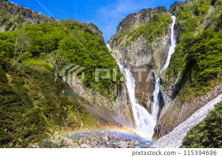 [Toyama Prefecture_Shomyo Falls_Hannoki Falls] Amidst the fresh greenery, a magnificent sight emerges as the famous waterfall forms a V-shape and creates a rainbow bridge. 115394686