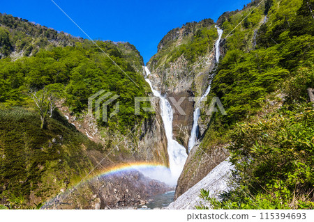 [Toyama Prefecture_Shomyo Falls_Hannoki Falls] Amidst the fresh greenery, a magnificent sight emerges as the famous waterfall forms a V-shape and creates a rainbow bridge. 115394693