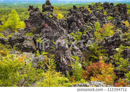 Lava rocks and yellow leaves [Onioshidashi Garden] 115394712