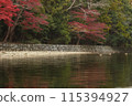 日本秋天的風景，河面上倒映著紅葉的樹木 115394927