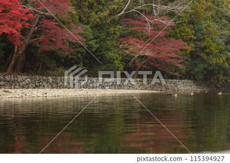 Autumn scenery in Japan with autumn leaves reflected on the river surface Autumn scenery in Japan with autumn leaves reflected on the river surface 115394927