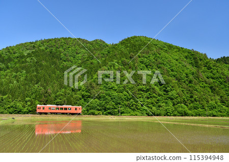 Nagaragawa Railway train passing through rice fields just after rice planting 115394948