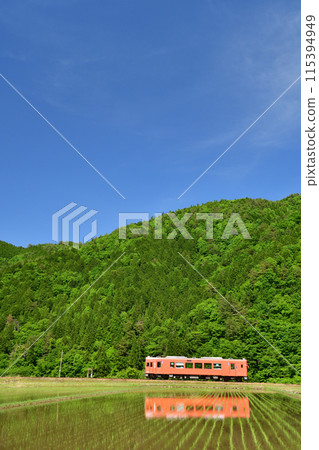 長良川鐵道列車穿過剛插秧的稻田 115394949