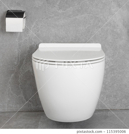Modern Wall-Mounted Toilet with Toilet Paper Modern Wall-Mounted Toilet with Toilet Paper 115395006