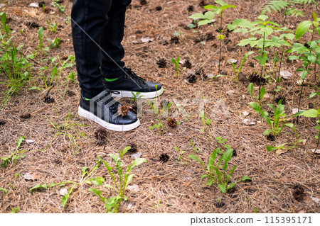 Cropped person in black boots walking in pine forest. 115395171