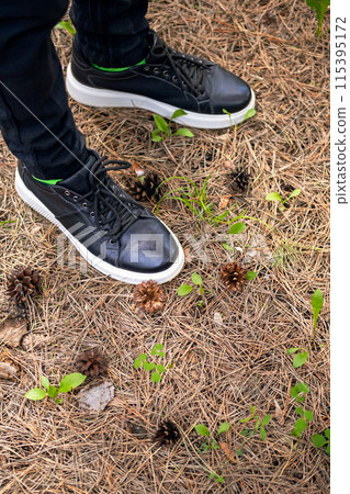 Cropped person in black boots walking in pine forest. Cropped person in black boots walking in pine forest. 115395172
