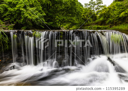 [Toyama Prefecture, Miyajima Gorge] Little Niagara Falls: Ichinotaki Falls 115395289
