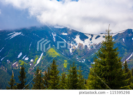 Fabulous and mysterious path in the forest. Location place of Carpathians mountain, Ukraine, Europe. 115395298