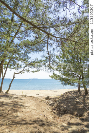 Maehama Beach [Minamishimabara City, Nagasaki Prefecture] 115395307