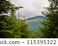 Fabulous and mysterious path in the forest. Location place of Carpathians mountain, Ukraine, Europe. 115395322