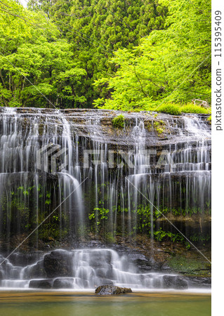 [Miyajima Gorge, Toyama Prefecture] Ninotaki Falls flows down the entire width of the river 115395409