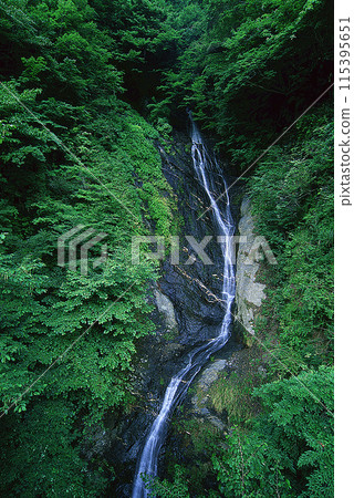 A waterfall cascading down rocks from the forest 115395651