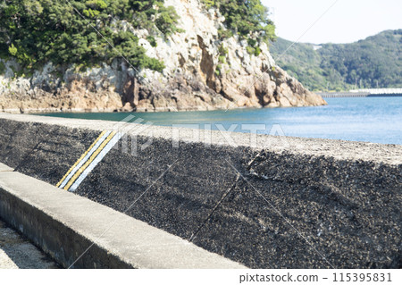 南伊豆下田的堤防和海 115395831