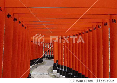[Aomori Prefecture] Takayama Inari Shrine's Thousand Torii Gates 115395906