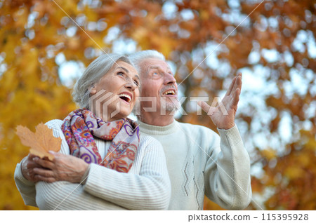 Loving mature couple in the park in summer 115395928