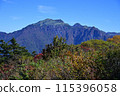 Shikoku's sacred mountain "Binkemori" 115396058