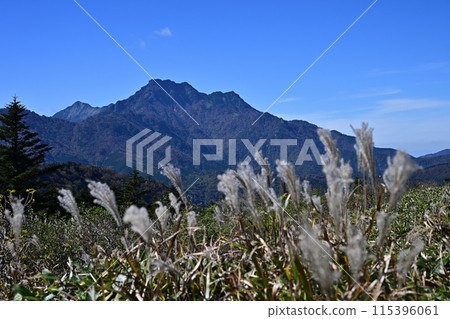 日本西部最高峰四國神山石槌山的秋天 日本西部最高峰四國神山石槌山的秋天 115396061