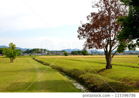 Kyoji Fujiwara 115396786