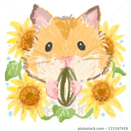 Sunflower field and hamster eating sunflower seeds 115397439