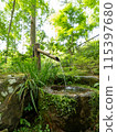 Moss 115397680