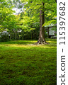 A garden surrounded by fresh greenery 115397682