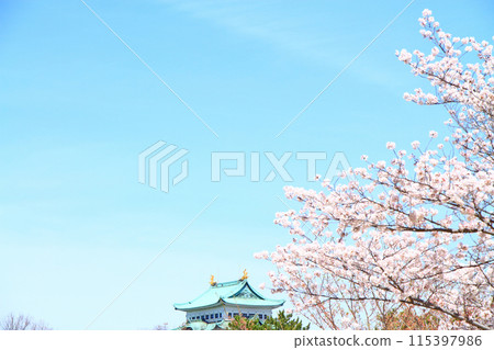 愛知縣名古屋市櫻花盛開和名古屋城的景色 愛知縣名古屋市櫻花盛開和名古屋城的景色 115397986