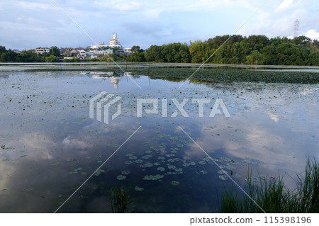 Residential area seen from the pond (Makinoike Pond, Nagoya City, Aichi Prefecture) 115398196