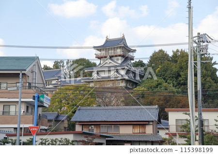 城中城（愛知縣日新市岩崎城） 115398199