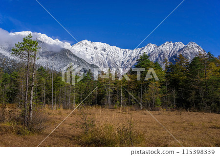 【秋天的上高地】田代濕地和北阿爾卑斯山的初雪前後 115398339