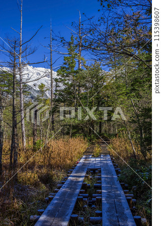 《Late Autumn in Kamikochi》 Frozen Promenade and the First Snowfall in the Northern Alps 《Late Autumn in Kamikochi》 Frozen Promenade and the First Snowfall in the Northern Alps 115398607