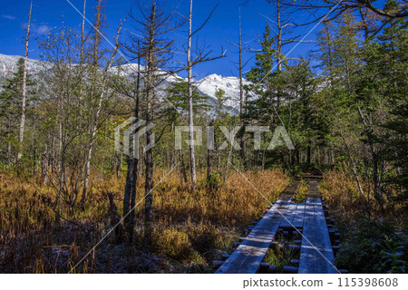 《Late Autumn in Kamikochi》 Frozen Promenade and the First Snowfall in the Northern Alps 《Late Autumn in Kamikochi》 Frozen Promenade and the First Snowfall in the Northern Alps 115398608