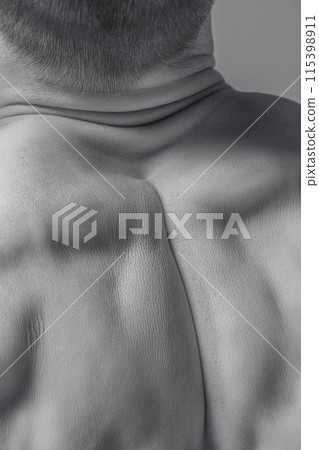 Sculptural Back. Detailed muscular structure of the human back as a living sculpture. Well-defined muscles highlights the aesthetic beauty and strength Sculptural Back. Detailed muscular structure of the human back as a living sculpture. Well-defined muscles highlights the aesthetic beauty and strength 115398911