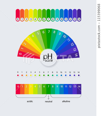 pH scale chart for acid and alkaline solutions. Acid-base balance infographic. Vector pH scale chart for acid and alkaline solutions. Acid-base balance infographic. Vector 115399068