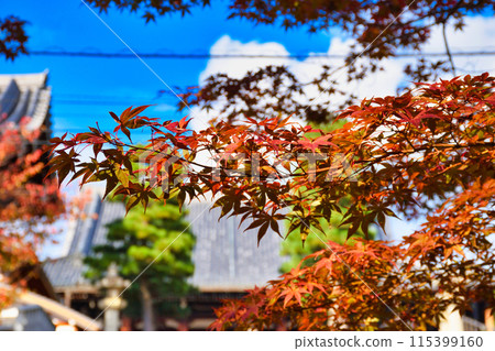京都市左京區近海光明寺、藍天、秋葉和禦榮堂 115399160