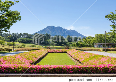 Kagoshima Prefectural Yoshino Park with Sakurajima in the background Kagoshima Prefectural Yoshino Park with Sakurajima in the background 115400368