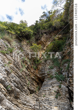Lush greenery on a rocky cliff Lush greenery on a rocky cliff 115400518