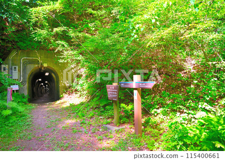 東北 / 淨土濱 / 連接淨土濱和章之浦的散步道、淨土濱一側的隧道入口 / 岩手縣宮古市 (2) 115400661
