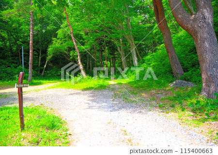 Tohoku, Jodogahama, View of the promenade connecting Jodogahama and Takonoura from the Jodogahama rest house side, Miyako City, Iwate Prefecture 115400663